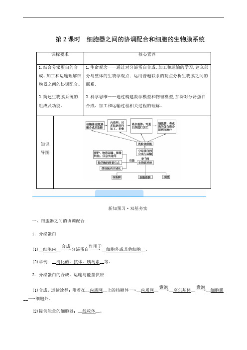 人教版高中生物同步学案 细胞器之间的协调配合和细胞的生物膜系统