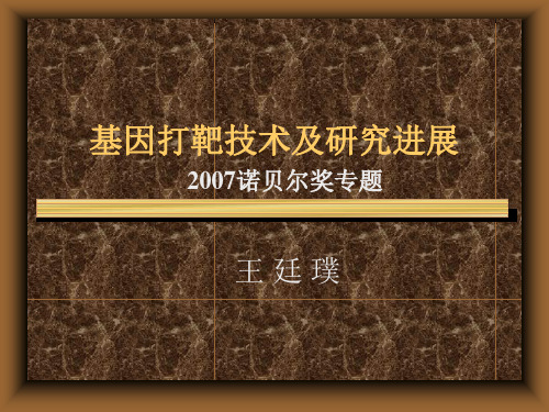 基因打靶技术.