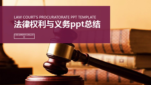 法律权利与义务ppt总结