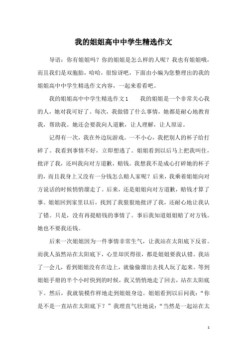 我的姐姐高中中学生精选作文