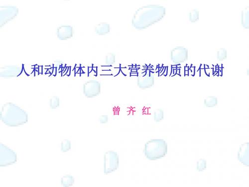 高中生物人和动物体内三大营养物质的代谢PPT5 人教版