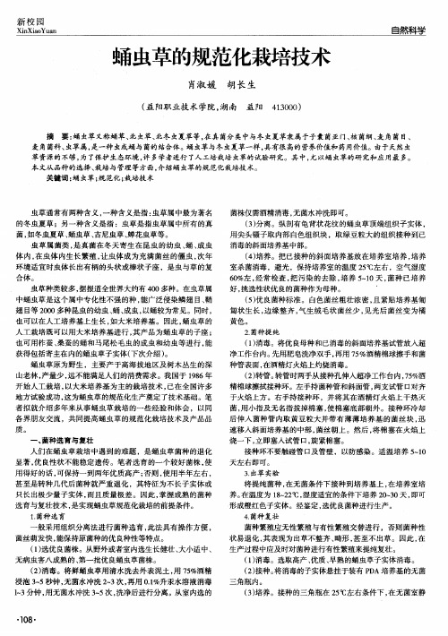 蛹虫草的规范化栽培技术