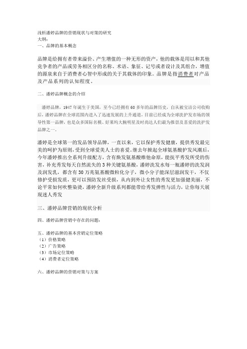 浅析潘婷品牌的营销现状与对策的研究