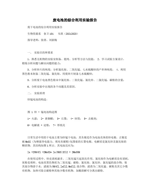 废电池的综合利用实验报告