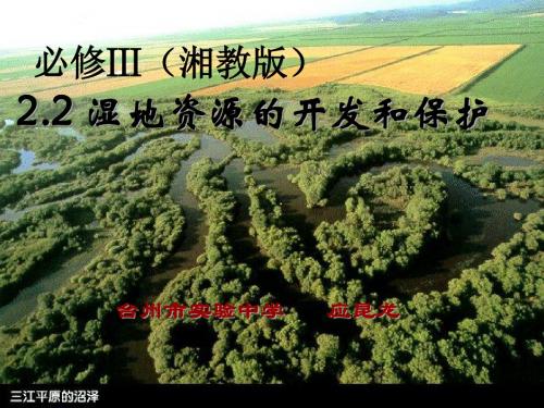 湿地资源的开发和保护