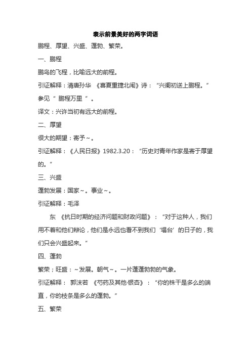 表示前景美好的两字词语