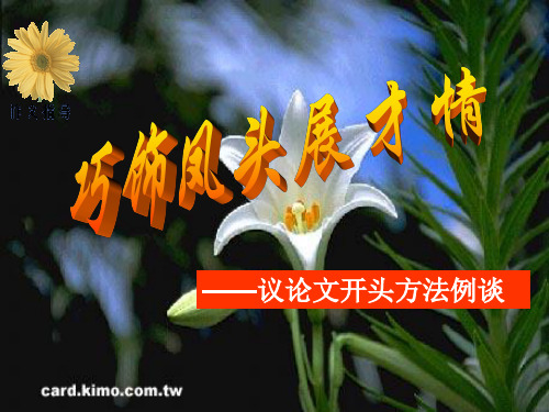 好的议论文开头的要求：凤头