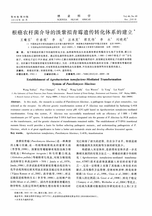 根癌农杆菌介导的淡紫拟青霉遗传转化体系的建立