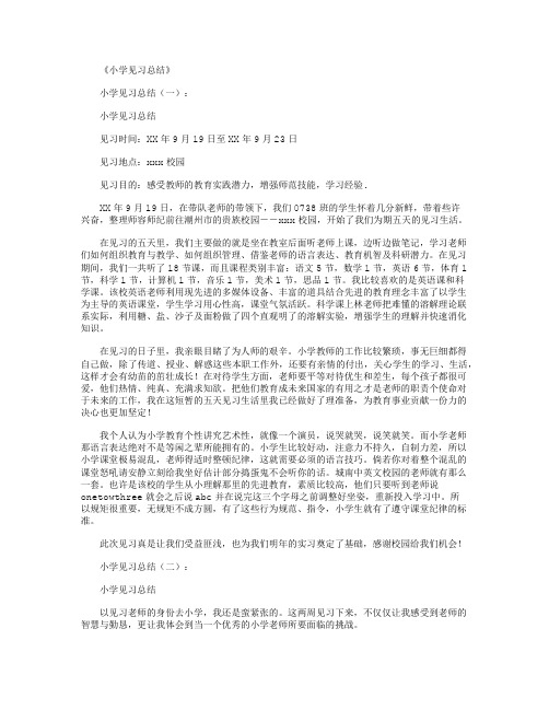 小学见习总结20篇