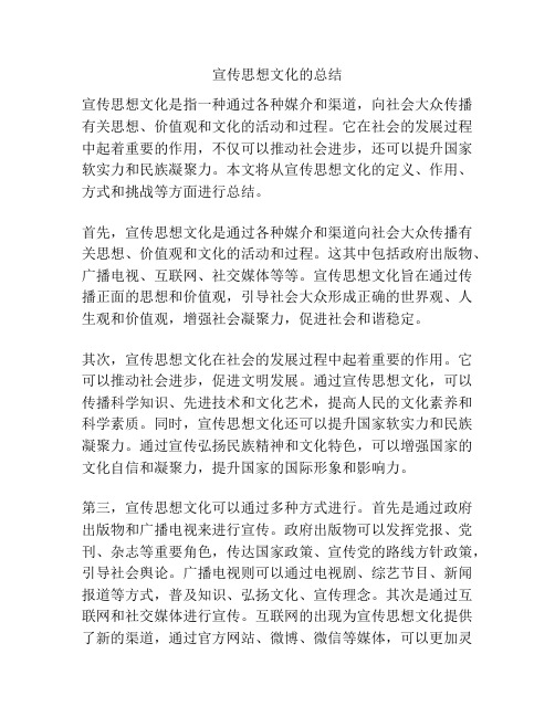 宣传思想文化的总结