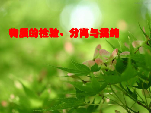 高中化学人教版化学复习课件：1.2++物质的检验、分离和提纯(共21张PPT)