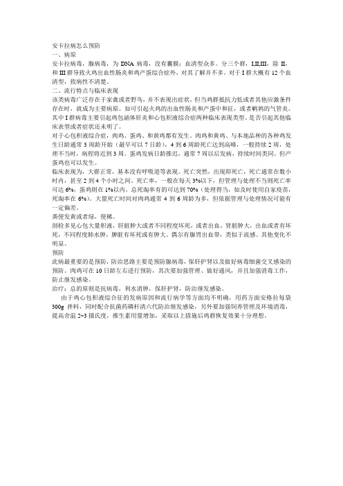 安卡拉病怎么预防