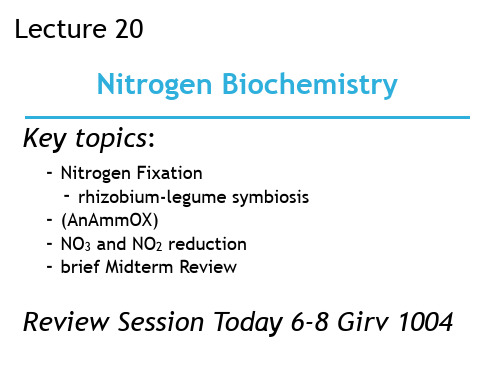 Principles of Biochemistry 108C lecture 20 slides