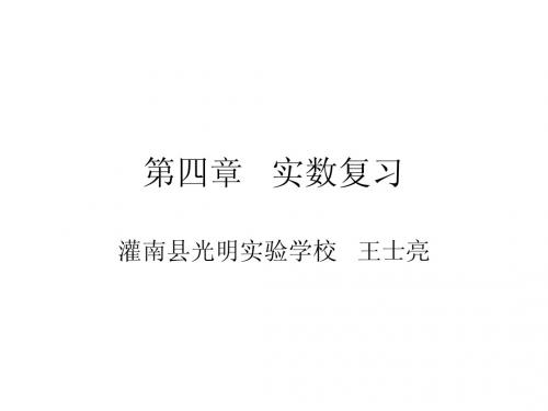 第四章实数复习