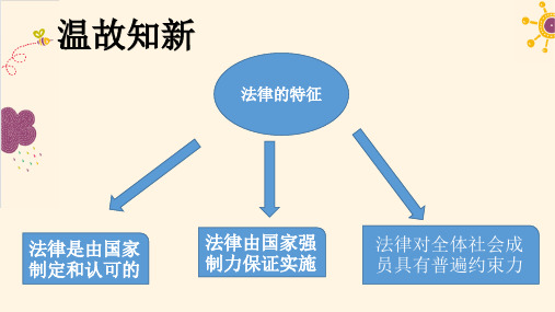 人教版《道德与法治》七年级下册10.1《法律为我们护航》课件(共30张PPT)