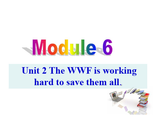 外研八上Module 6 unit 2 the wwf is working hard to save them all