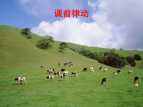 《创编 草原上 词曲 》课件
