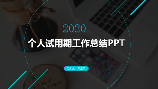 个人试用期工作总结PPT