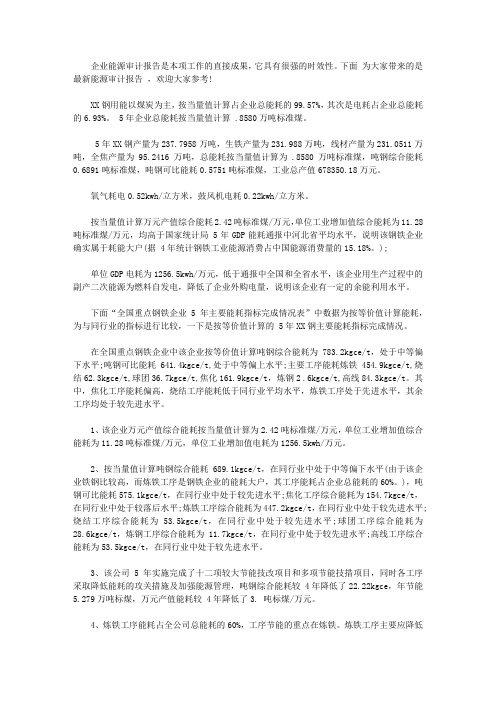 最新能源审计报告范文【实用】