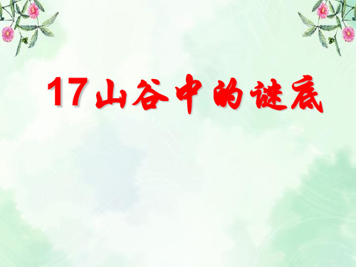 《山谷中的谜底》PPT课件3  图文