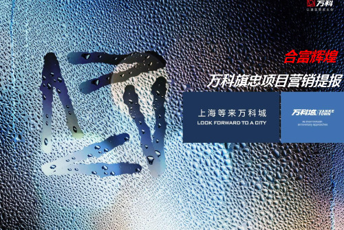 XXXX合富辉煌某地产旗忠项目营销提报P