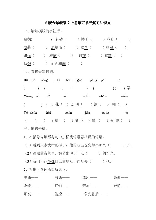 S版六年级语文上册第五单元复习知识点