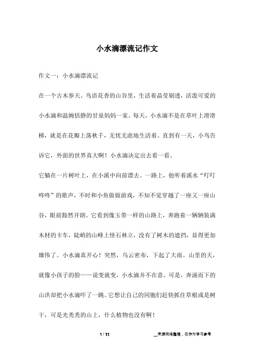 小水滴漂流记作文