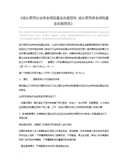 城乡居民社会养老保险基金自查报告_城乡居民养老保险基金自查报告