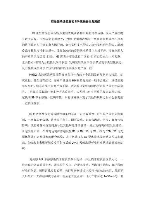 商品蛋鸡场要重视H9禽流感
