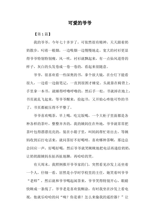可爱的爷爷