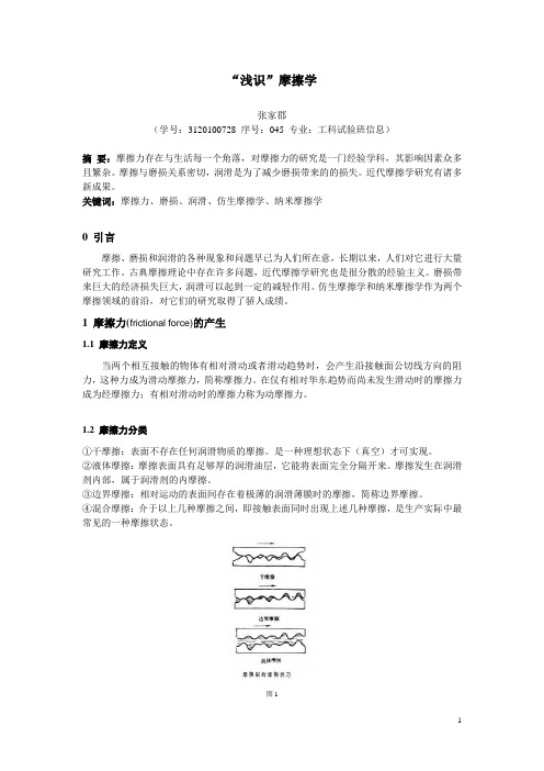 摩擦力的浅析