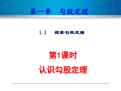 北师大版八年级数学上册第一章全部课件