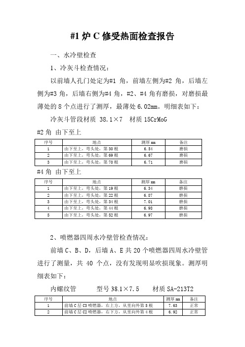 #1炉C修受热面检查报告