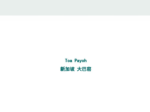 新加坡新城-大巴窑案例研究
