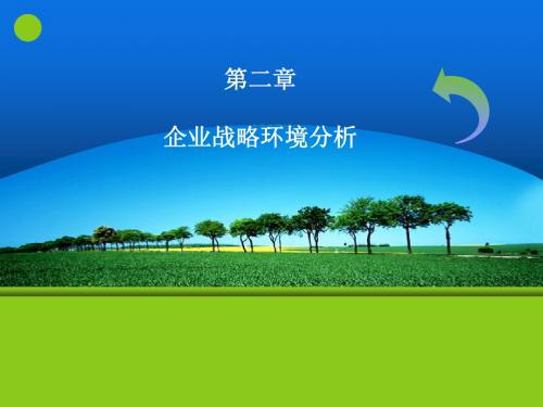 第二章 企业战略环境分析