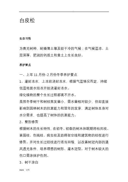 养护手册--白皮松