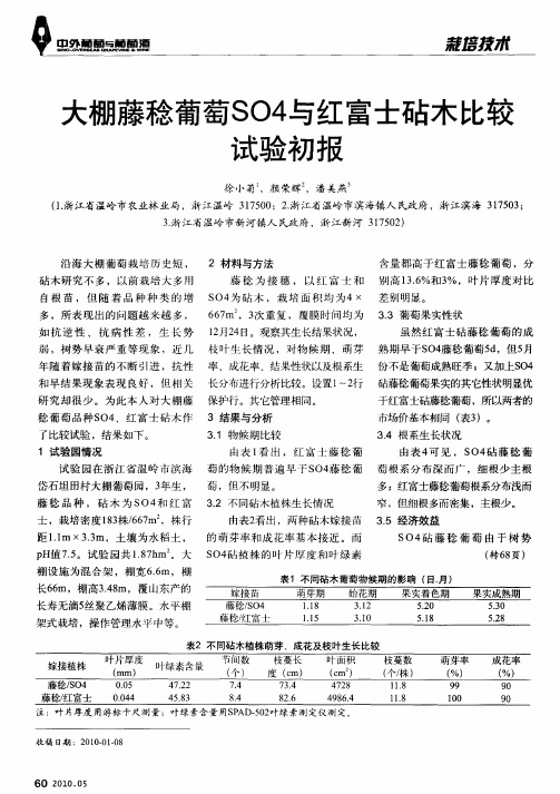 大棚藤稔葡萄S04与红富士砧木比较试验初报