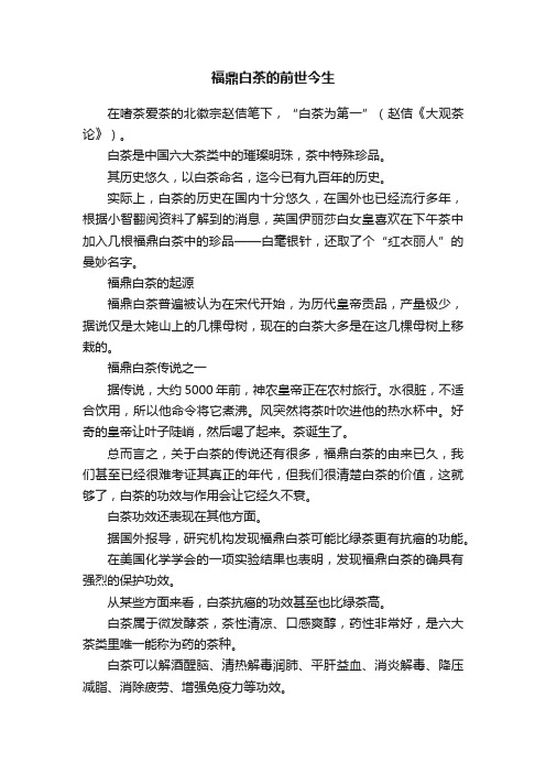 福鼎白茶的前世今生