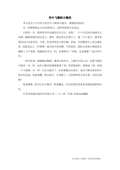 空中飞舞的小精灵_小学作文