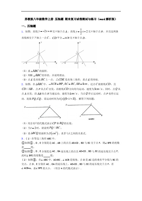 苏教版八年级数学上册 压轴题 期末复习试卷测试与练习(word解析版)