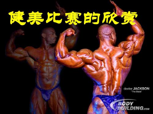 健美运动比赛赏析