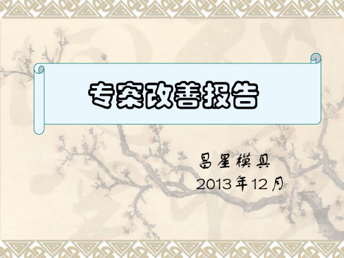 专案改善报告(2013年)
