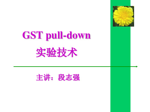 GST pulldown实验技术