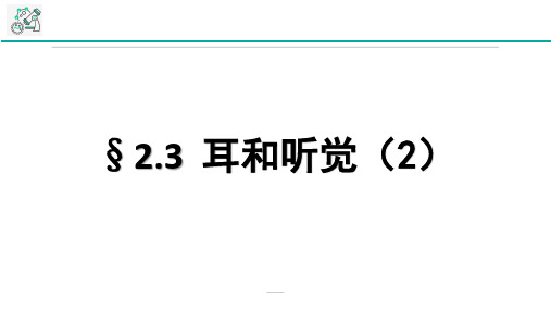 浙教版科学七年级下册全书新课课件---2.3耳和听觉第2课时(44张PPT)