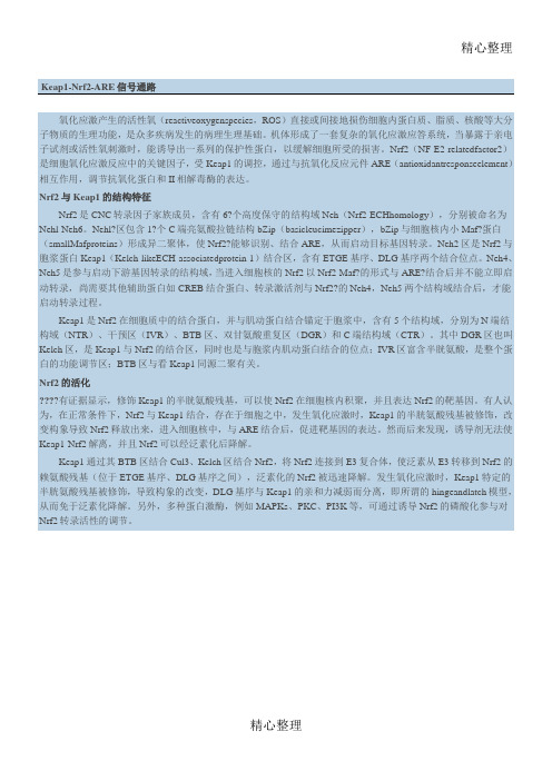 Nrf2相关知识普及