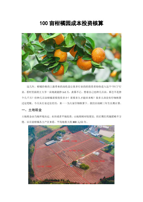 100亩柑橘园成本投资核算