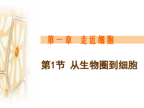 人教版必修1第一章第一节从生物圈到细胞共