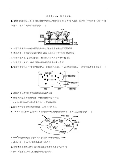 通用版2020届高考生物二轮冲刺题型突破练4图示图解类(解析版)