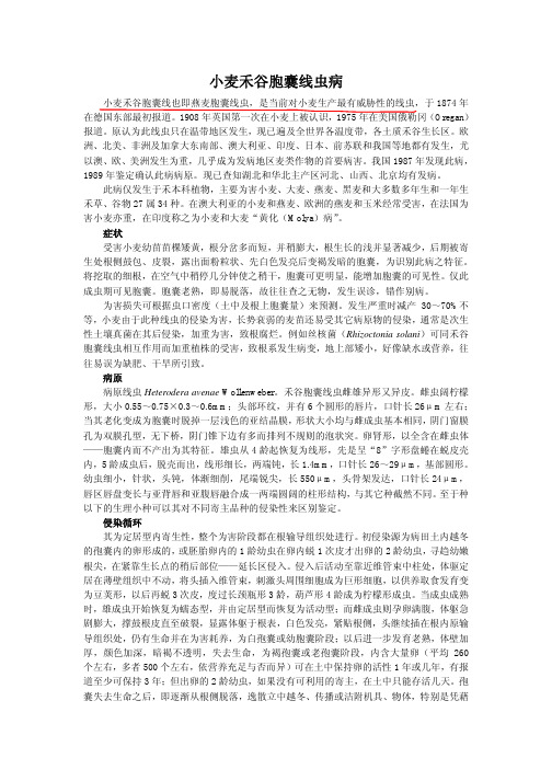 小麦禾谷胞囊线虫病简介