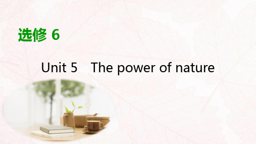 高考英语大一轮复习Unit5Thepowerofnature课件新人教版选修6